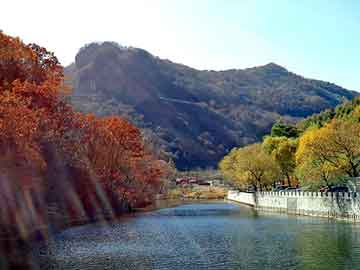 正版澳门天天开彩大全，丰田威驰论坛